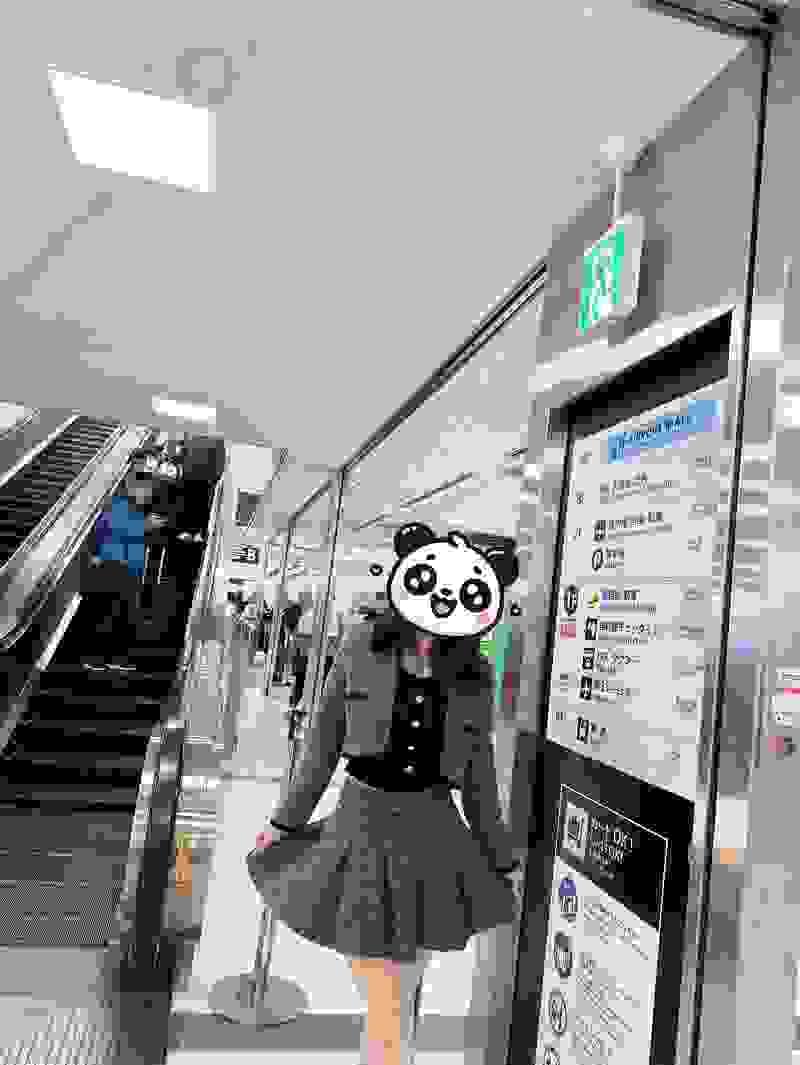 broken image