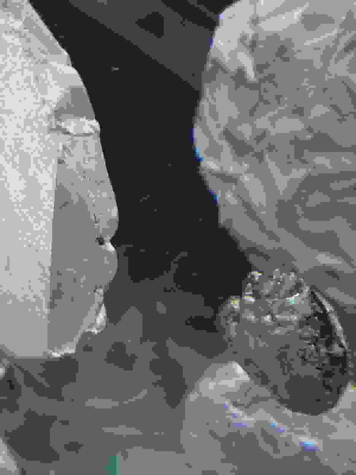 Section image