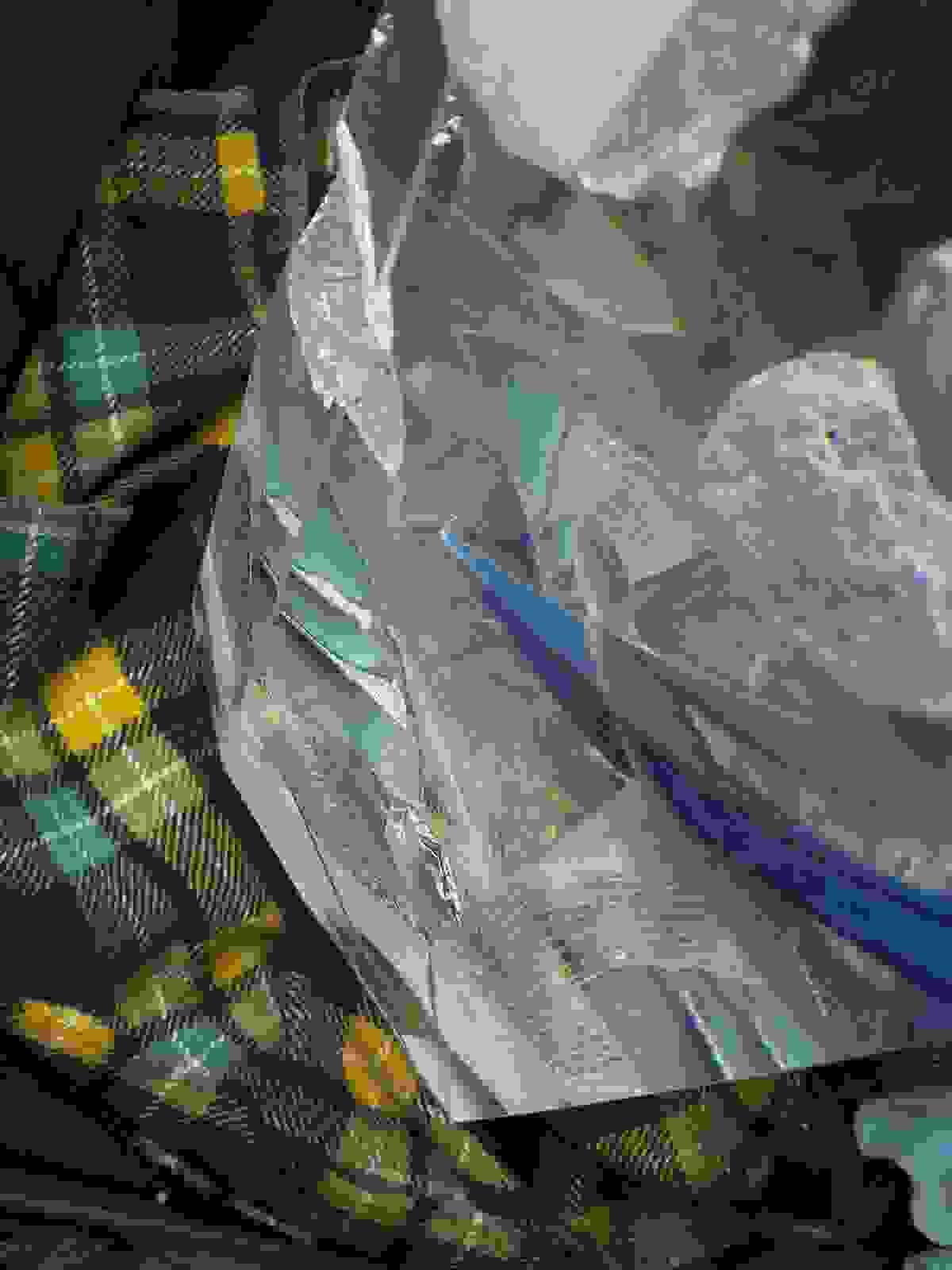 Section image