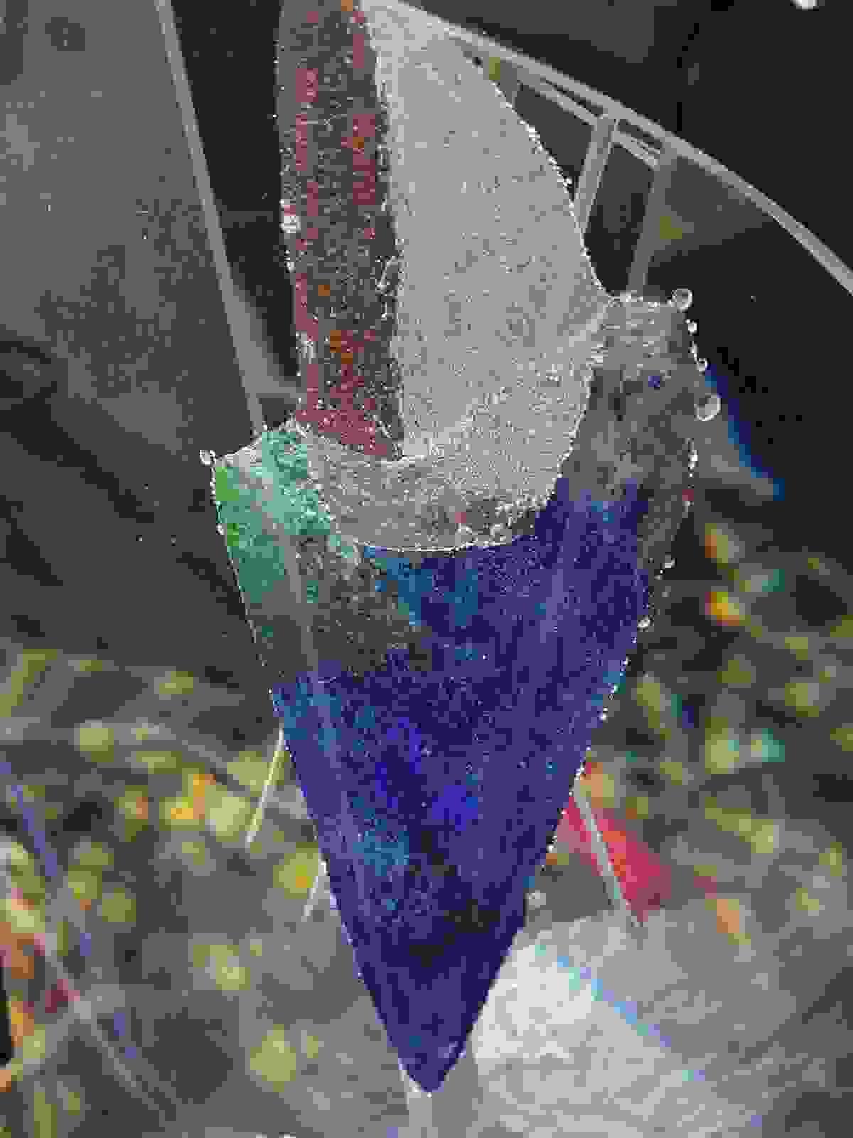 Section image
