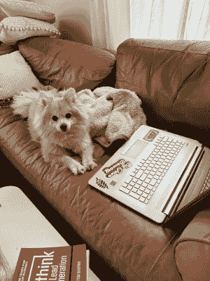 Chief Barketing Officer at Avec Peanut Chief Barketing Officer at Avec Peanut