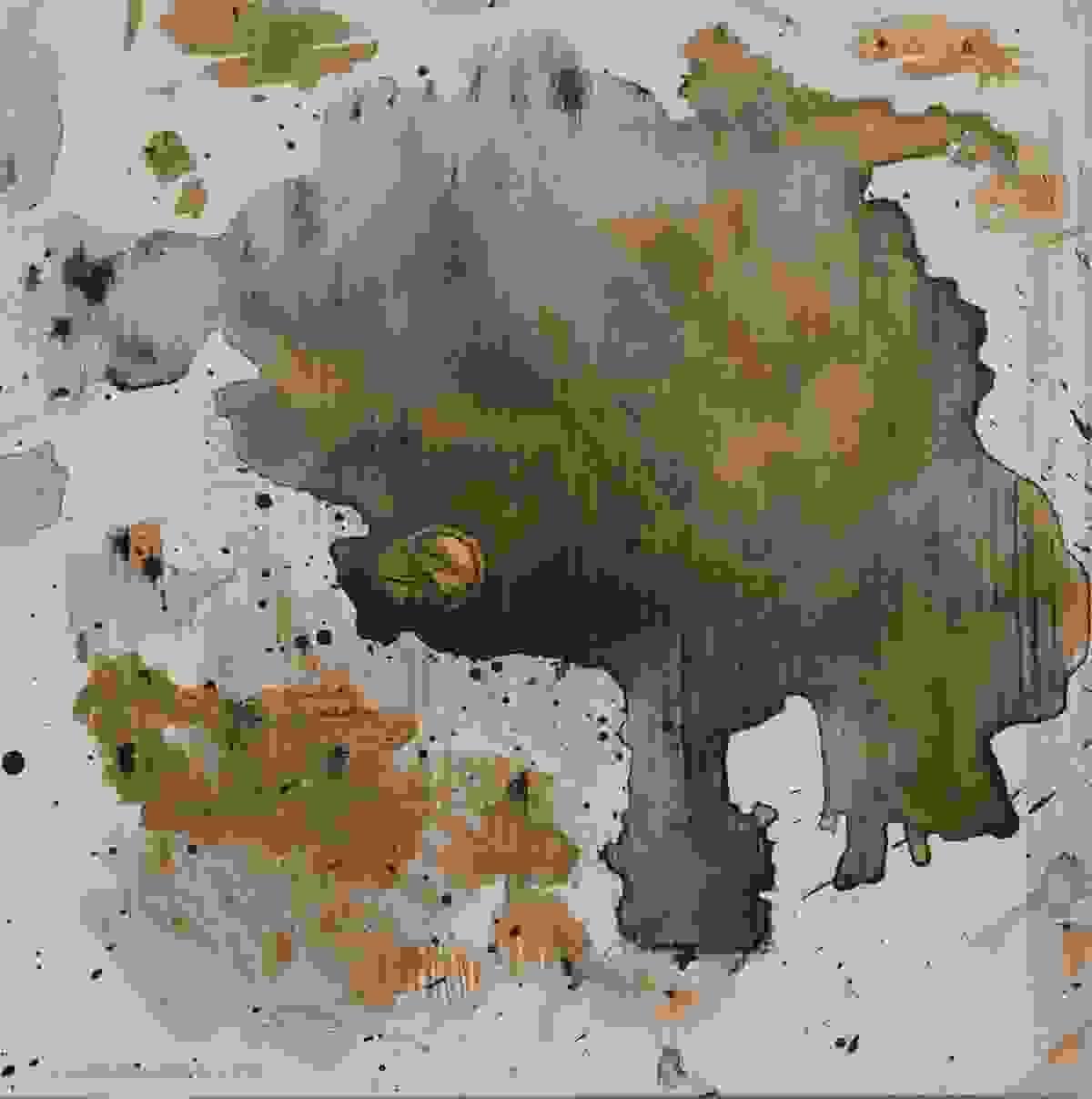 broken image