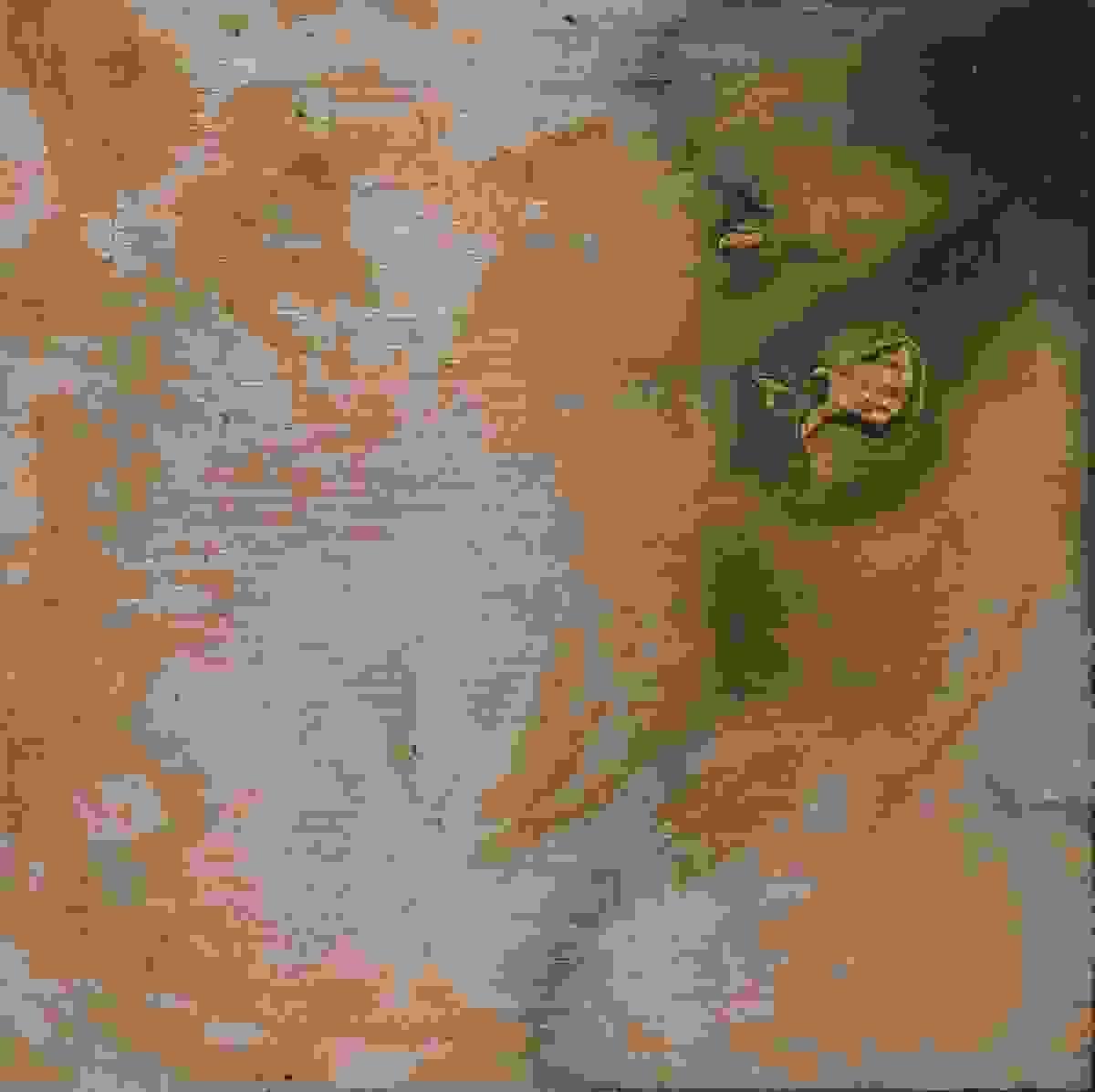 broken image
