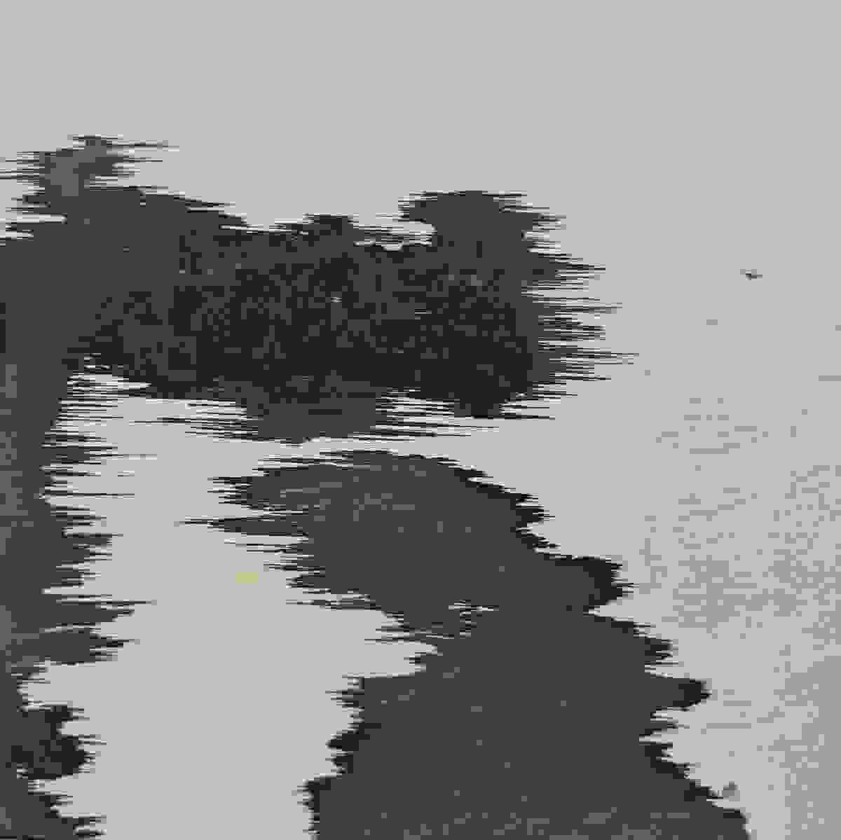 broken image