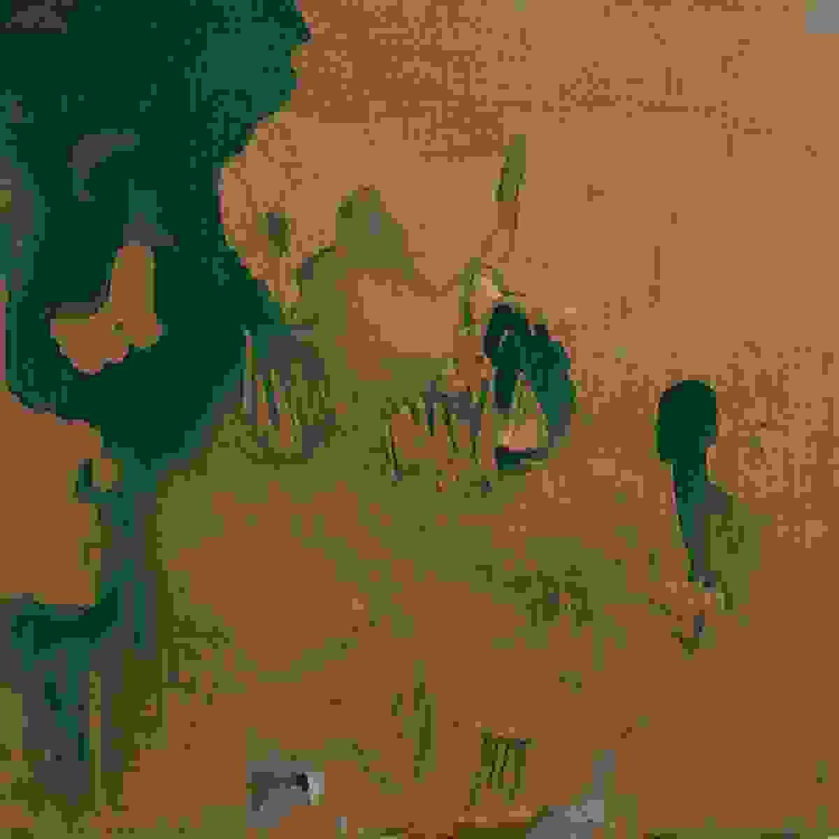 broken image