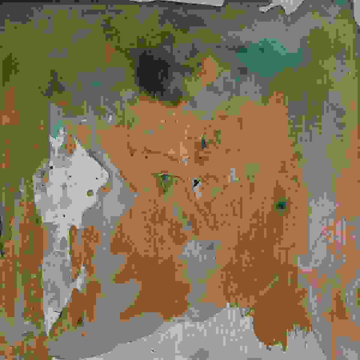 broken image