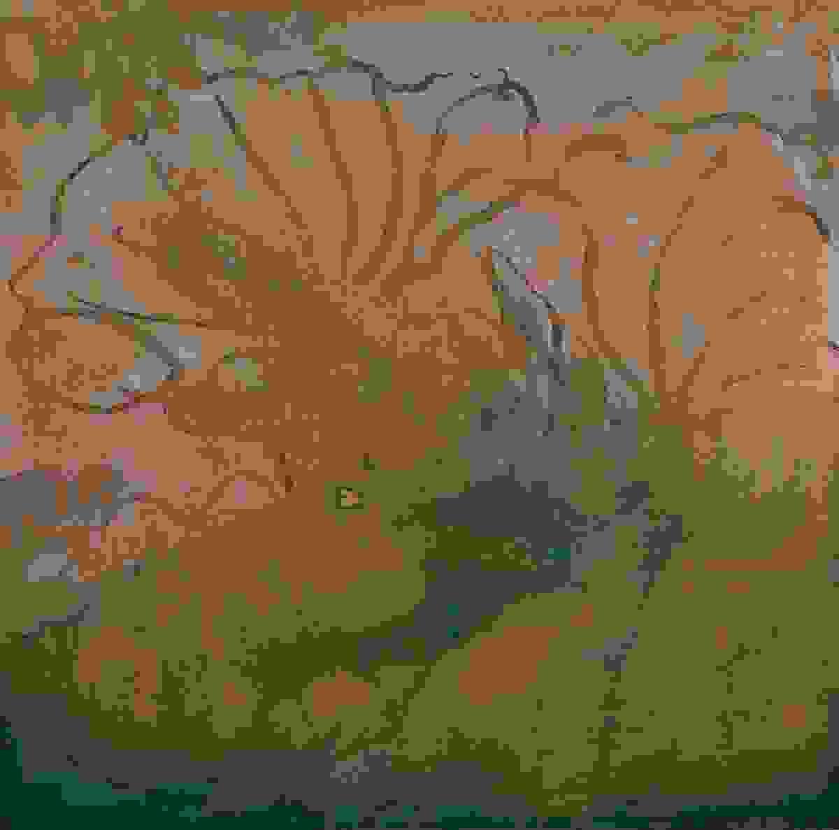 broken image