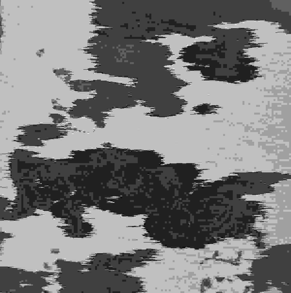 broken image