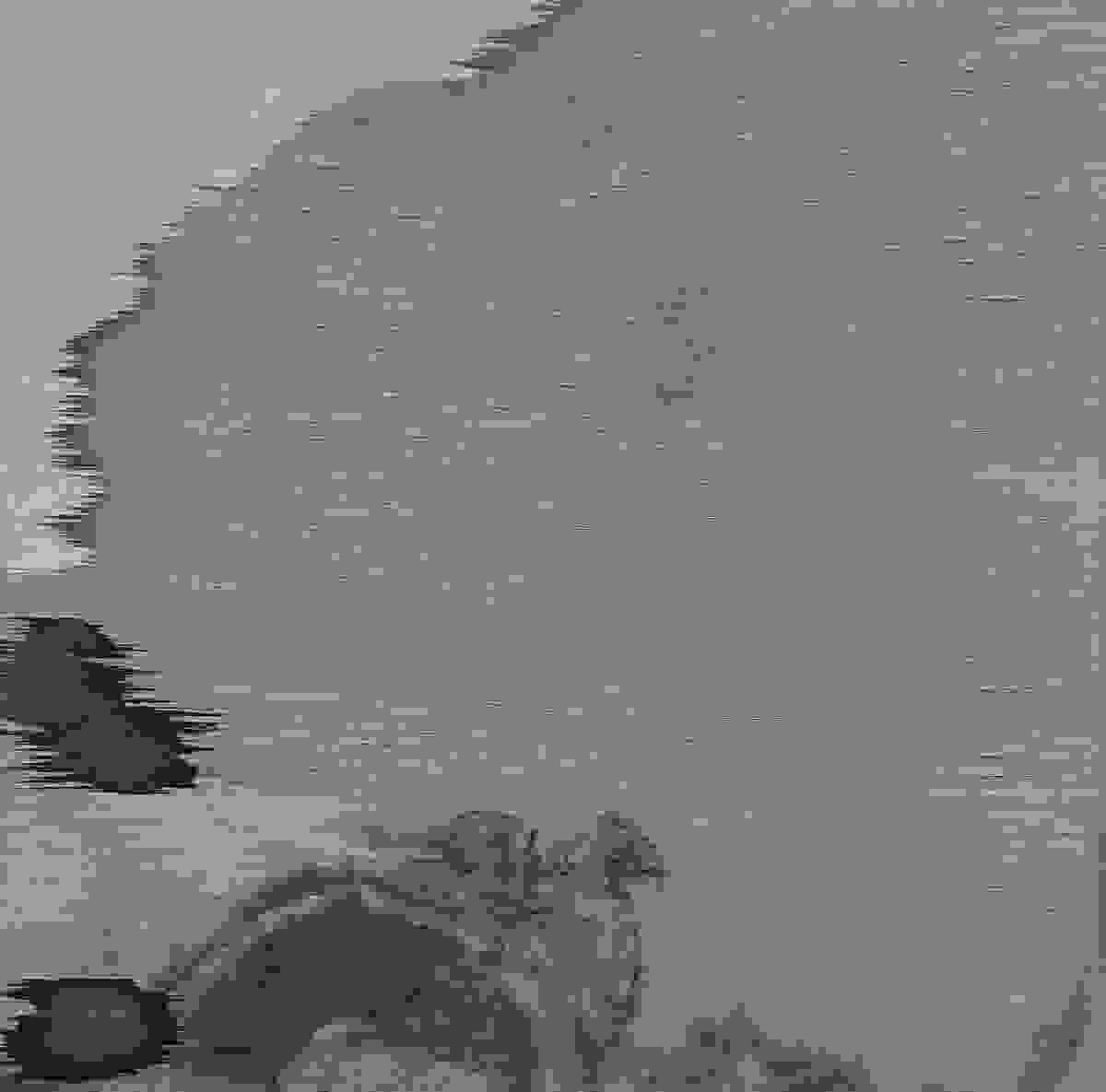 broken image