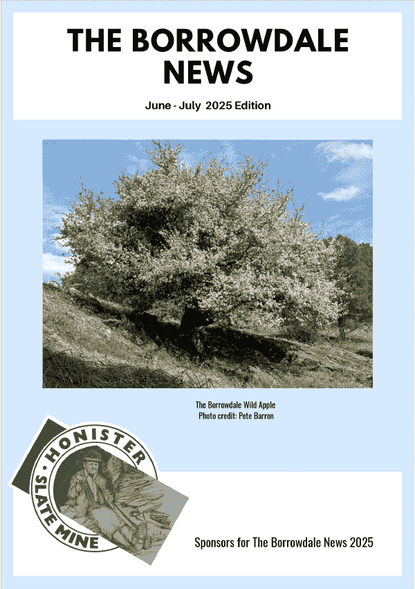 June-July 2025 Borrowdale News