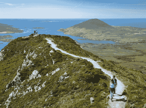 Section image