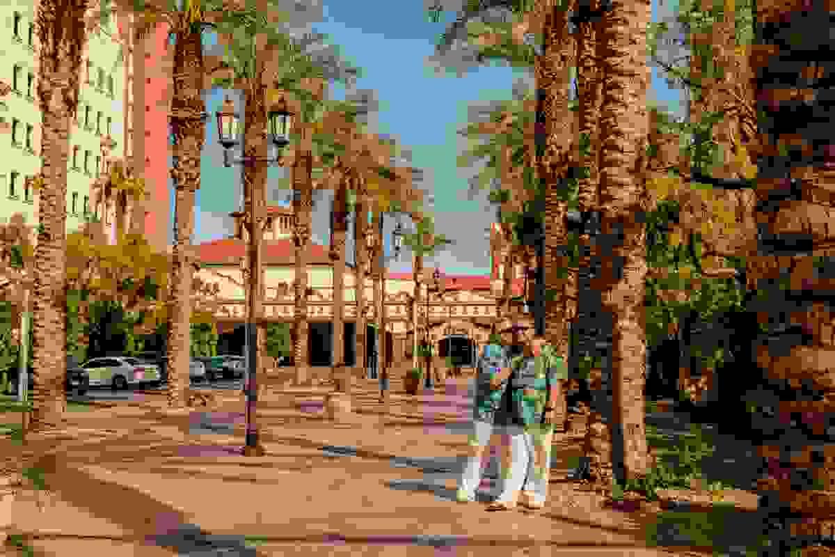 Couple posed near palm tree row on Fremont Street