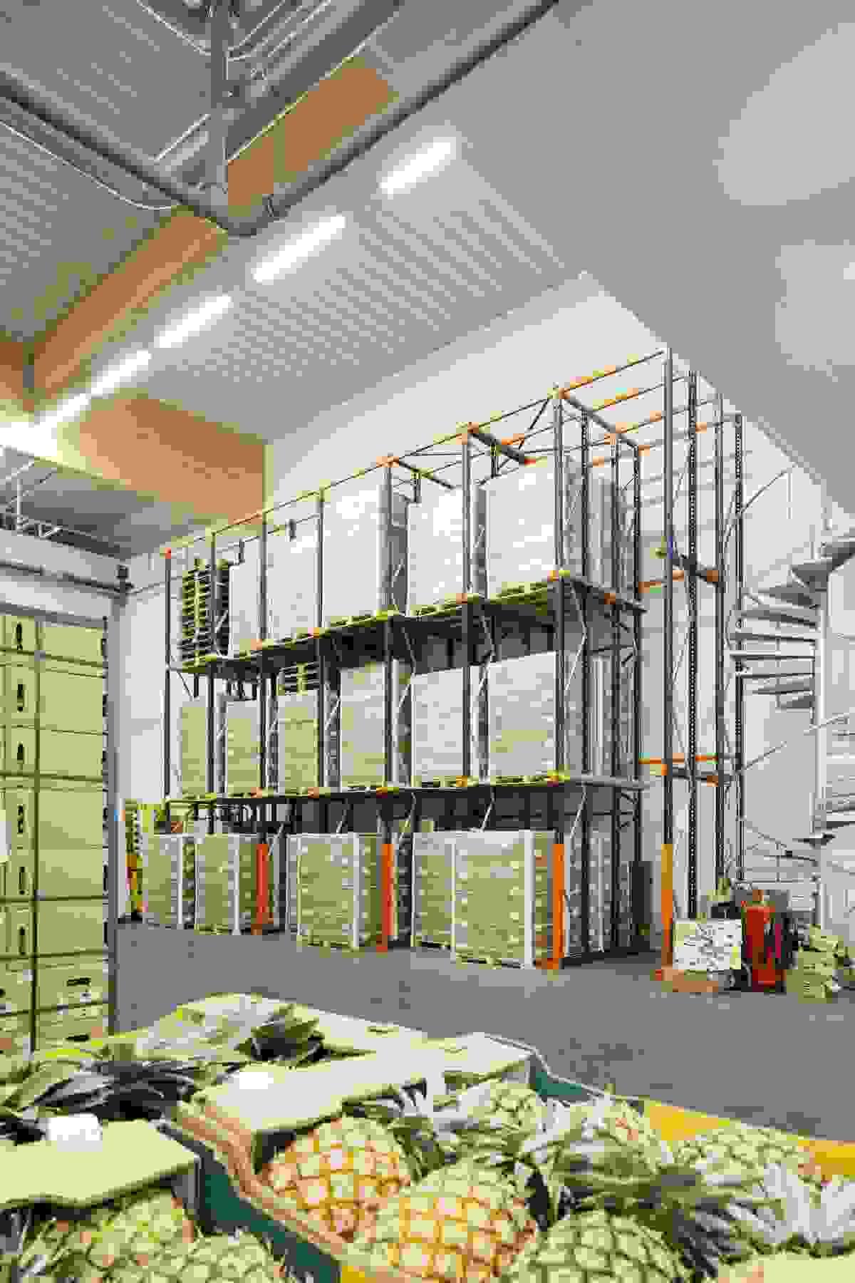 Section image