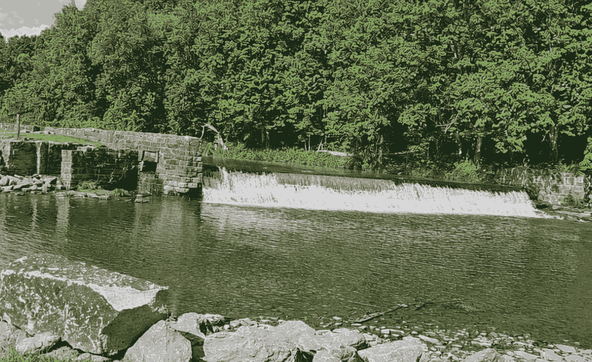 Section image