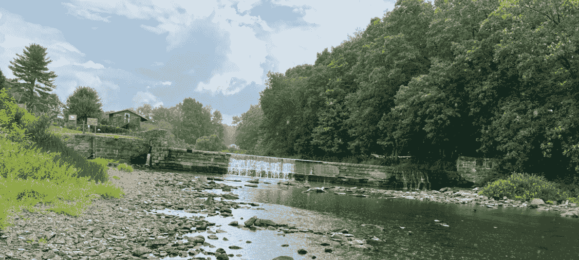 Section image