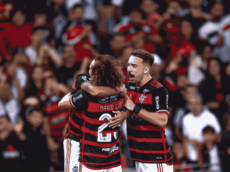 沙巴体育、沙巴体育官网、巴甲、弗拉门戈、CR Flamengo