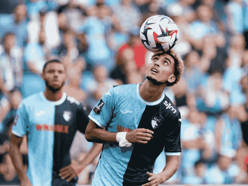 沙巴体育、沙巴体育官网、法甲、勒阿弗尔、Le Havre AC