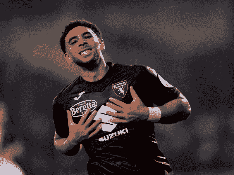 沙巴体育、沙巴体育官网、意甲、都灵、 Torino fC