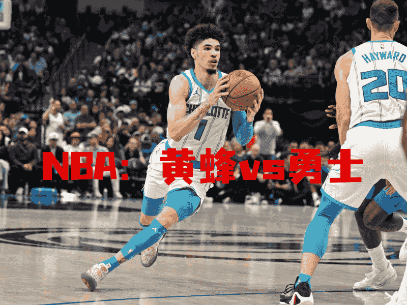 沙巴体育、沙巴体育官网、NBA、黄蜂队、Charlotte Hornets