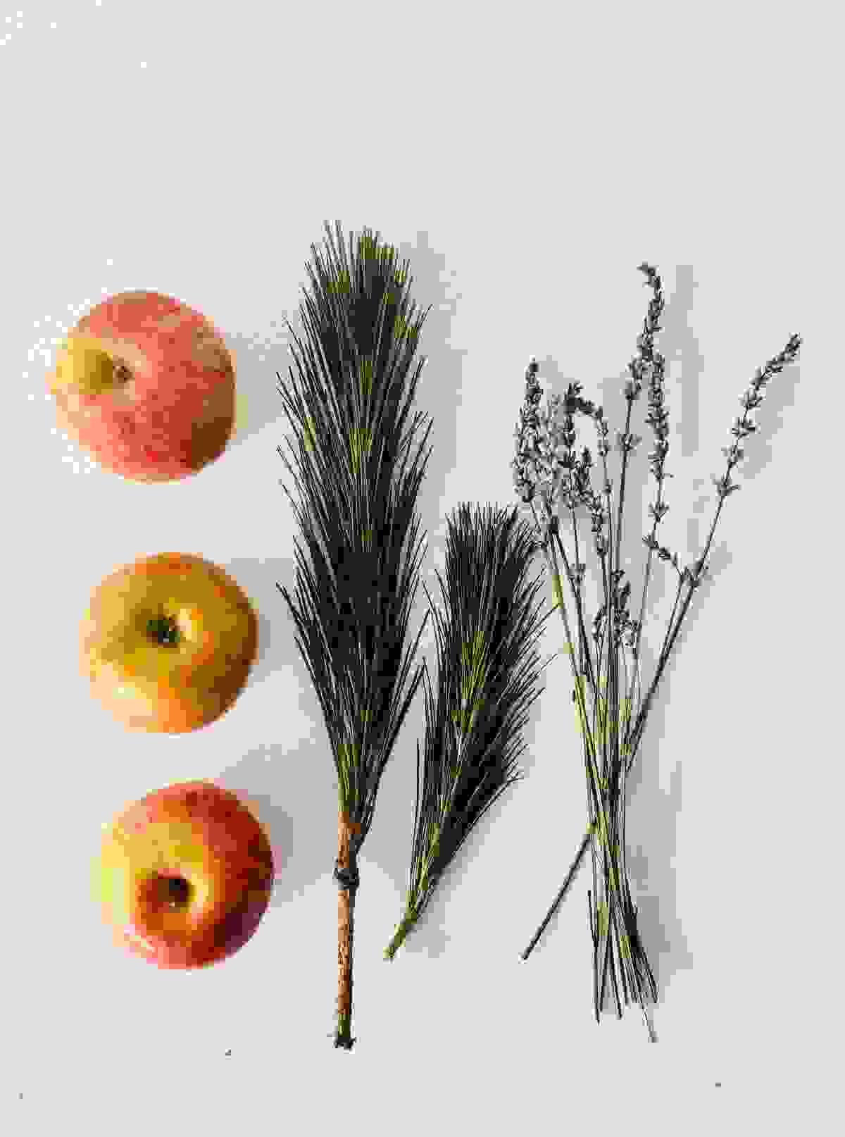 Section image