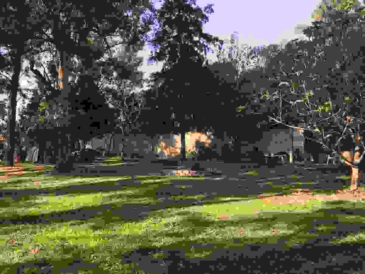 Section image