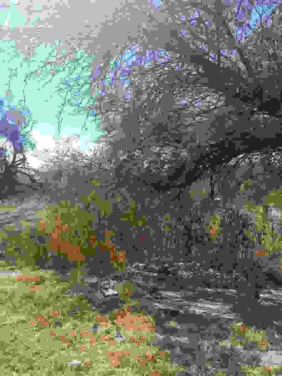 Section image