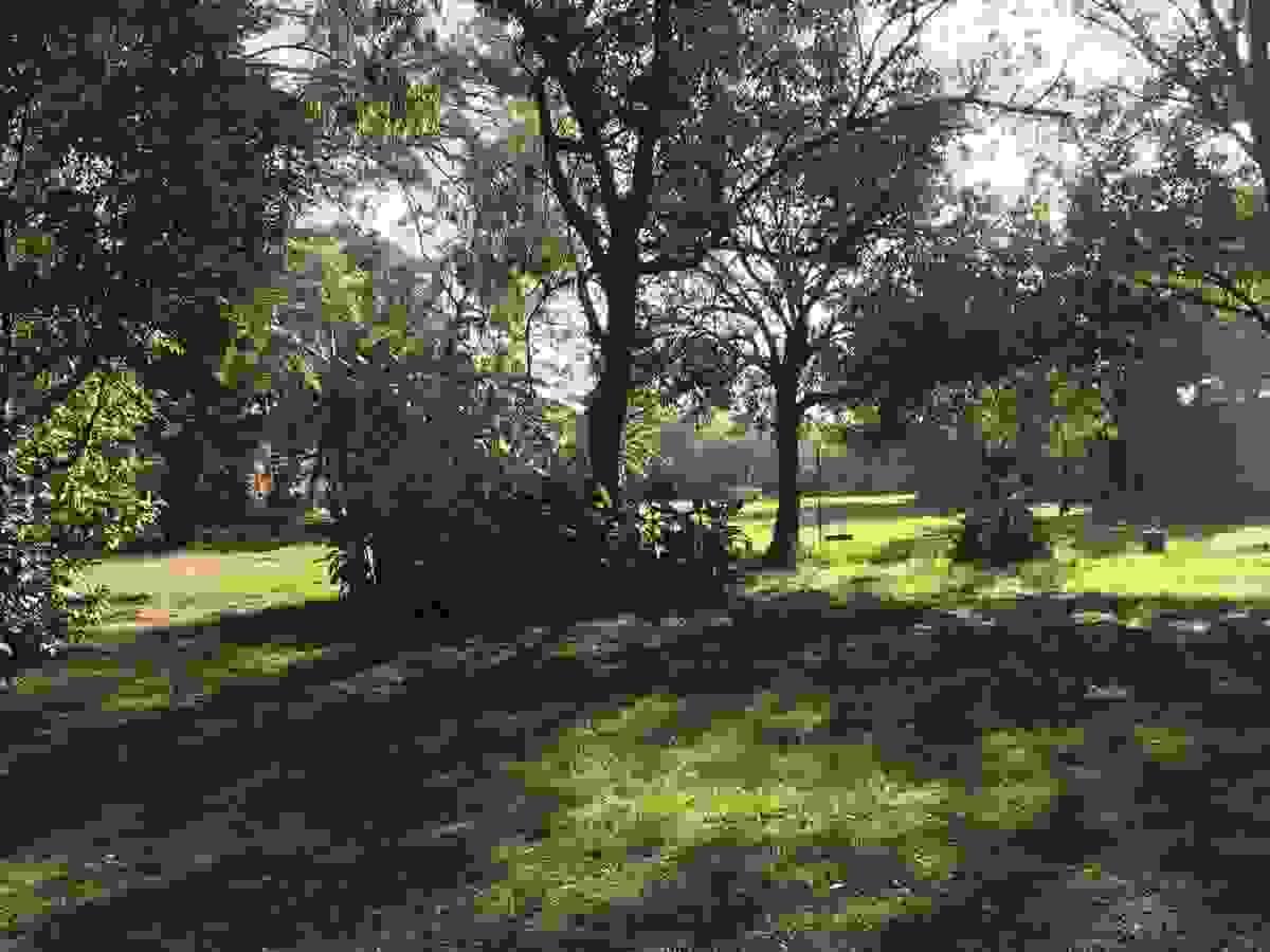 Section image