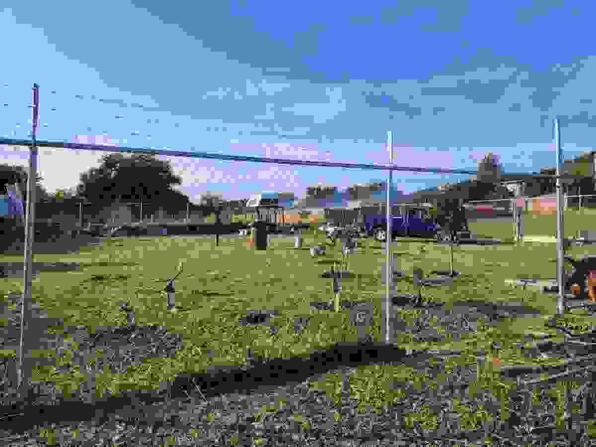 Section image