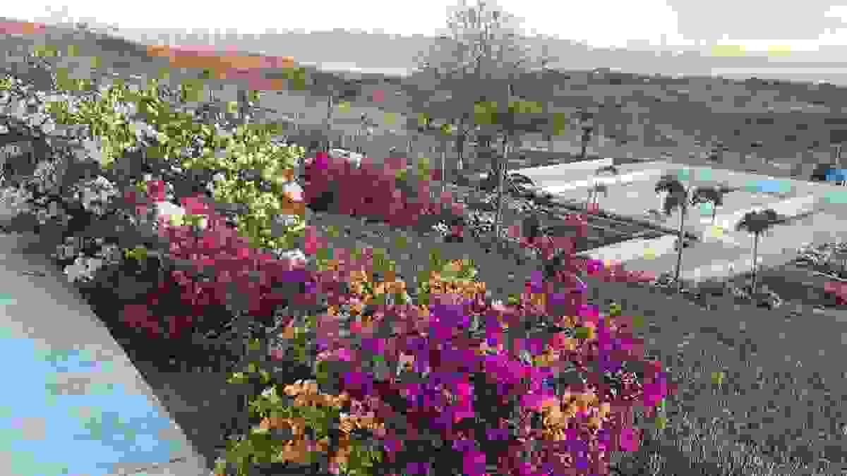Section image