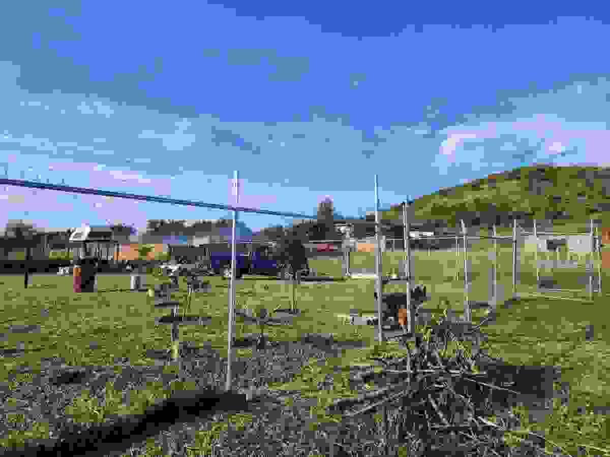 Section image