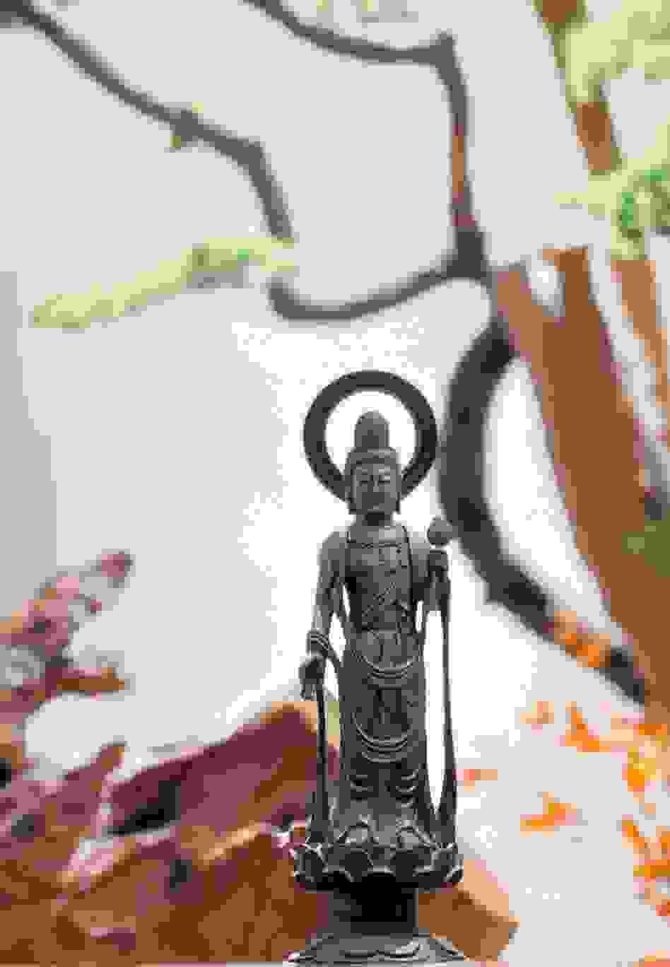 broken image