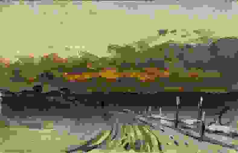 Section image