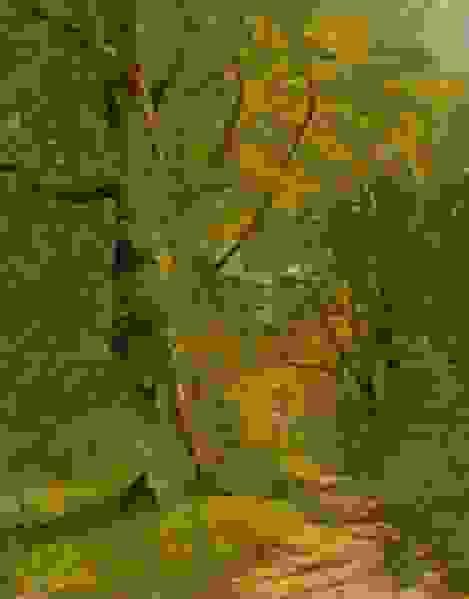 Section image