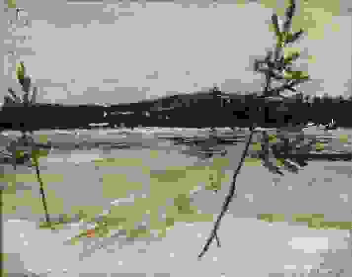 Section image
