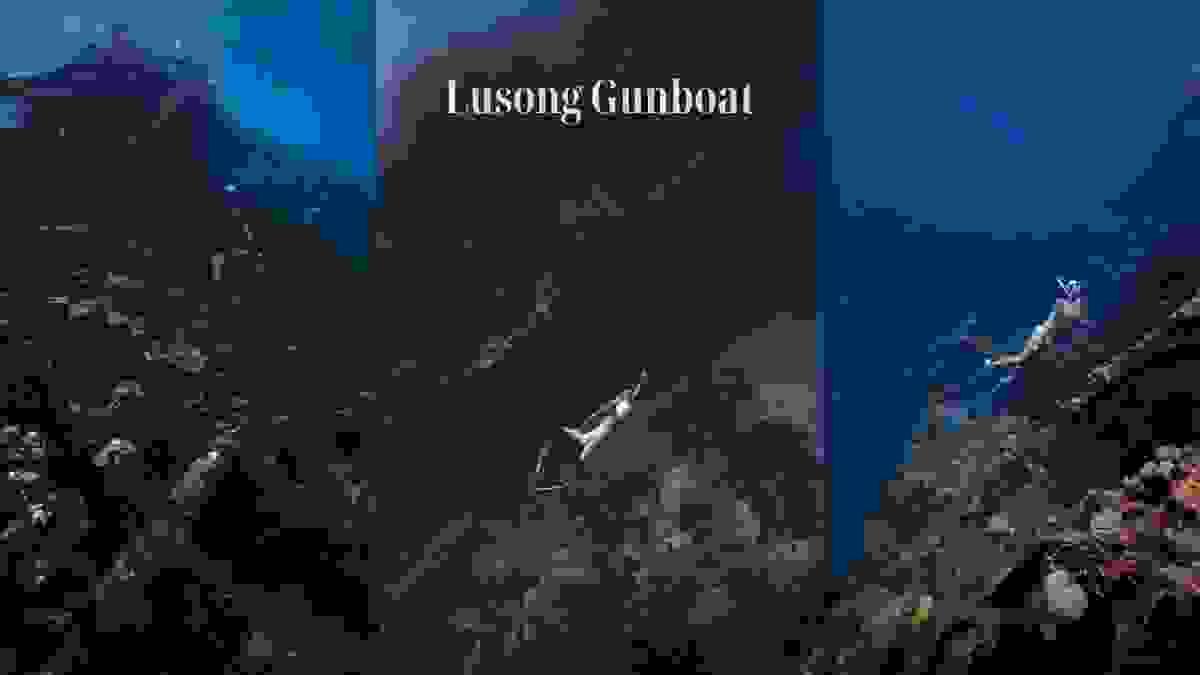 Section image