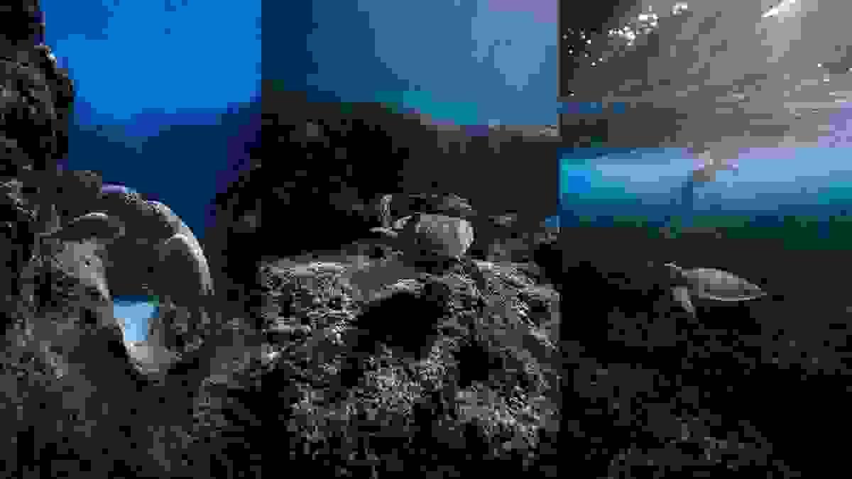 broken image