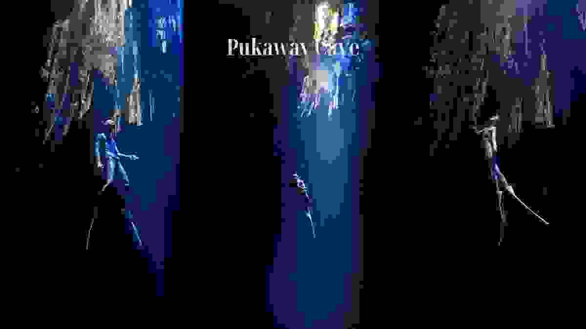 Section image