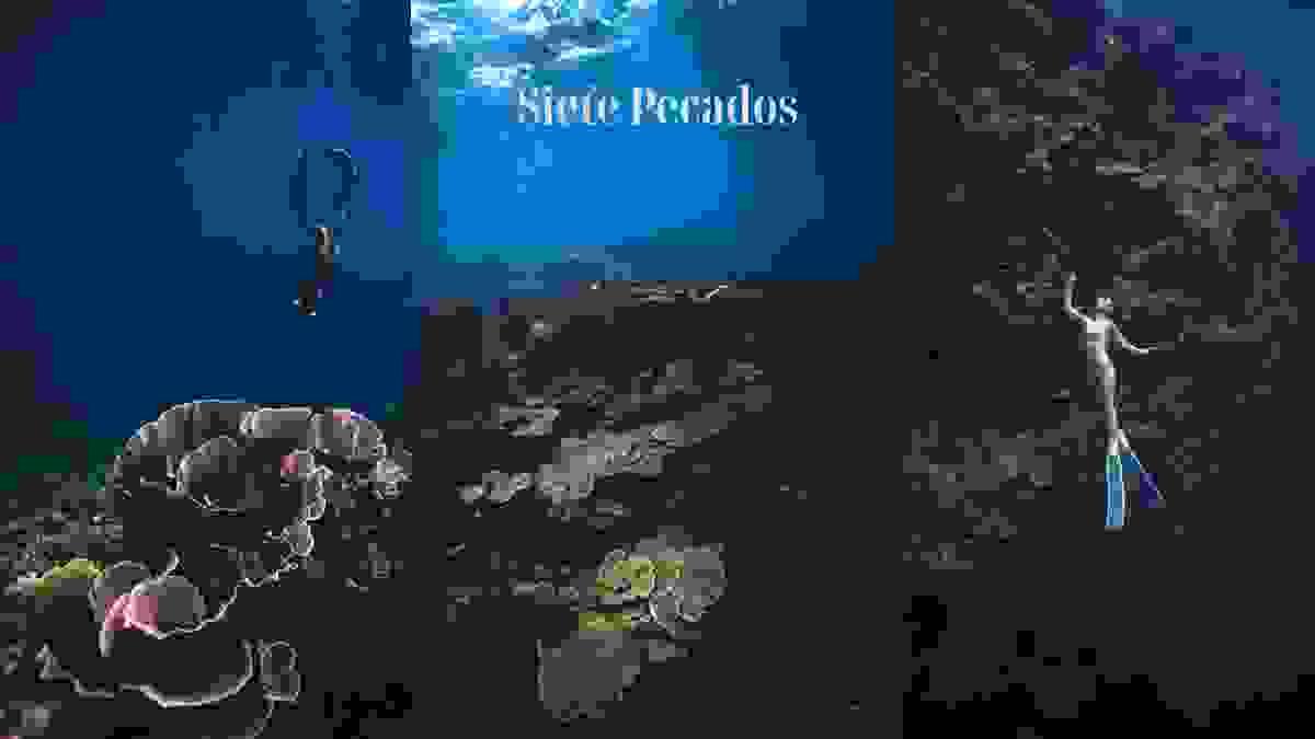 Section image