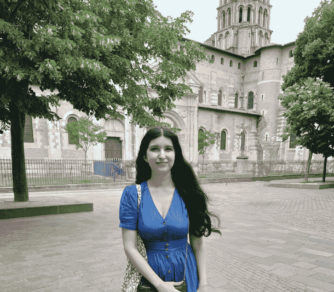 cours particuliers en ligne, brevet, bac de français, cours d'anglais cours particuliers en ligne, brevet, bac de français, cours d'anglais