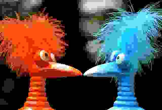 a red orange and blue bird looking at each other