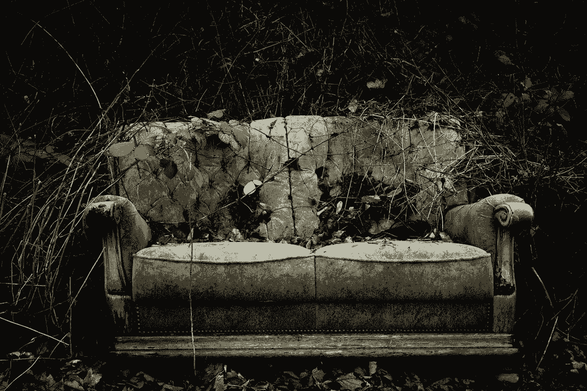 A green couch with a floral patter that has been left in a forest and is covered with plants as it sits on a pile of leaves