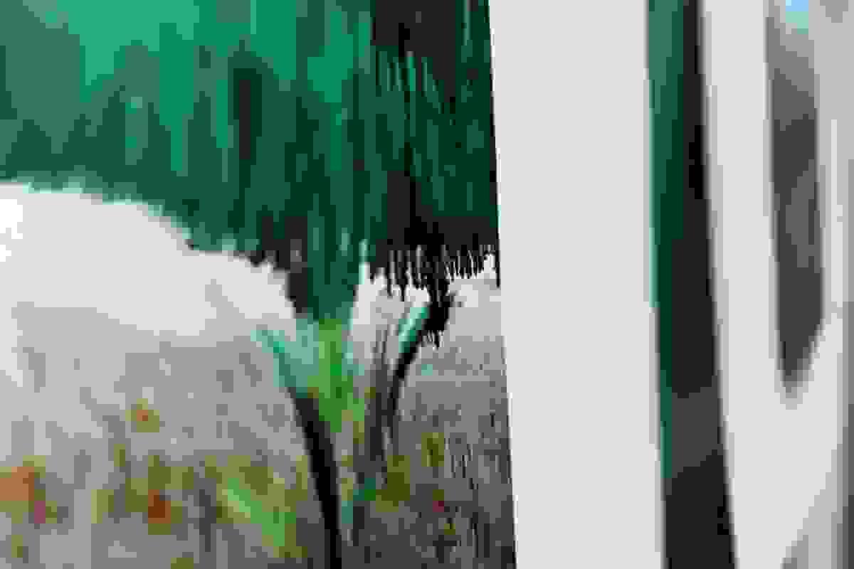 Section image