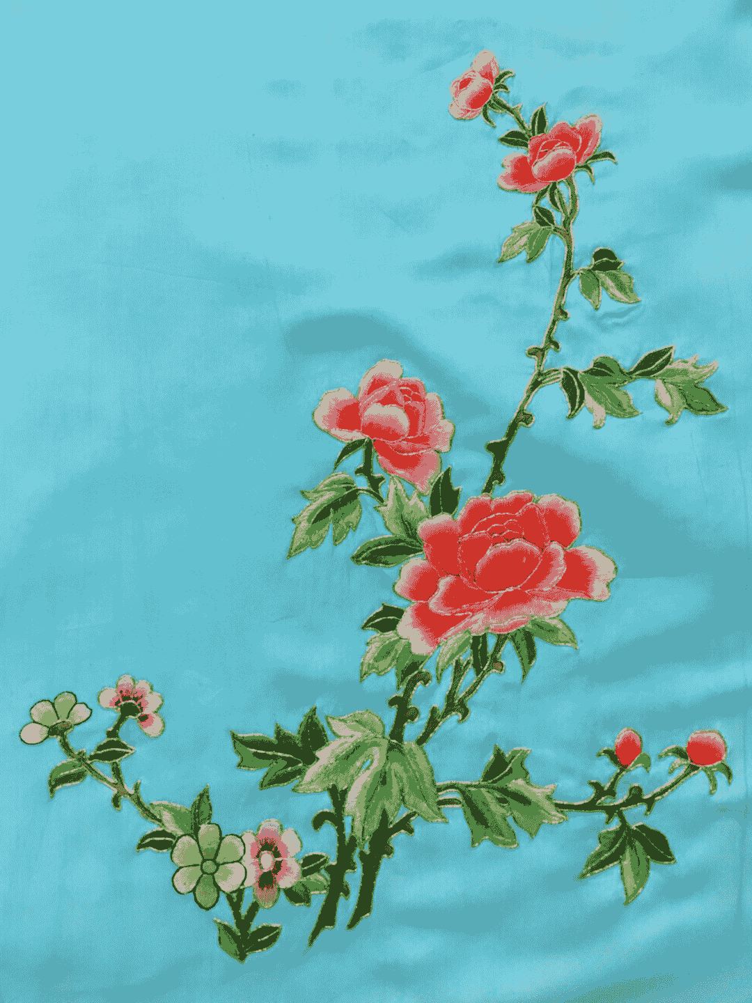 Section image