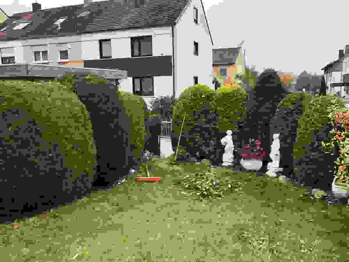 Section image