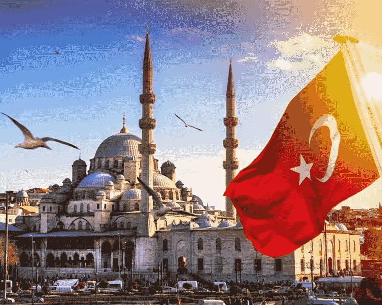 Our professional guide will take you deep to explore each destination, sharing local culture and history. professional guide Our service travel agency