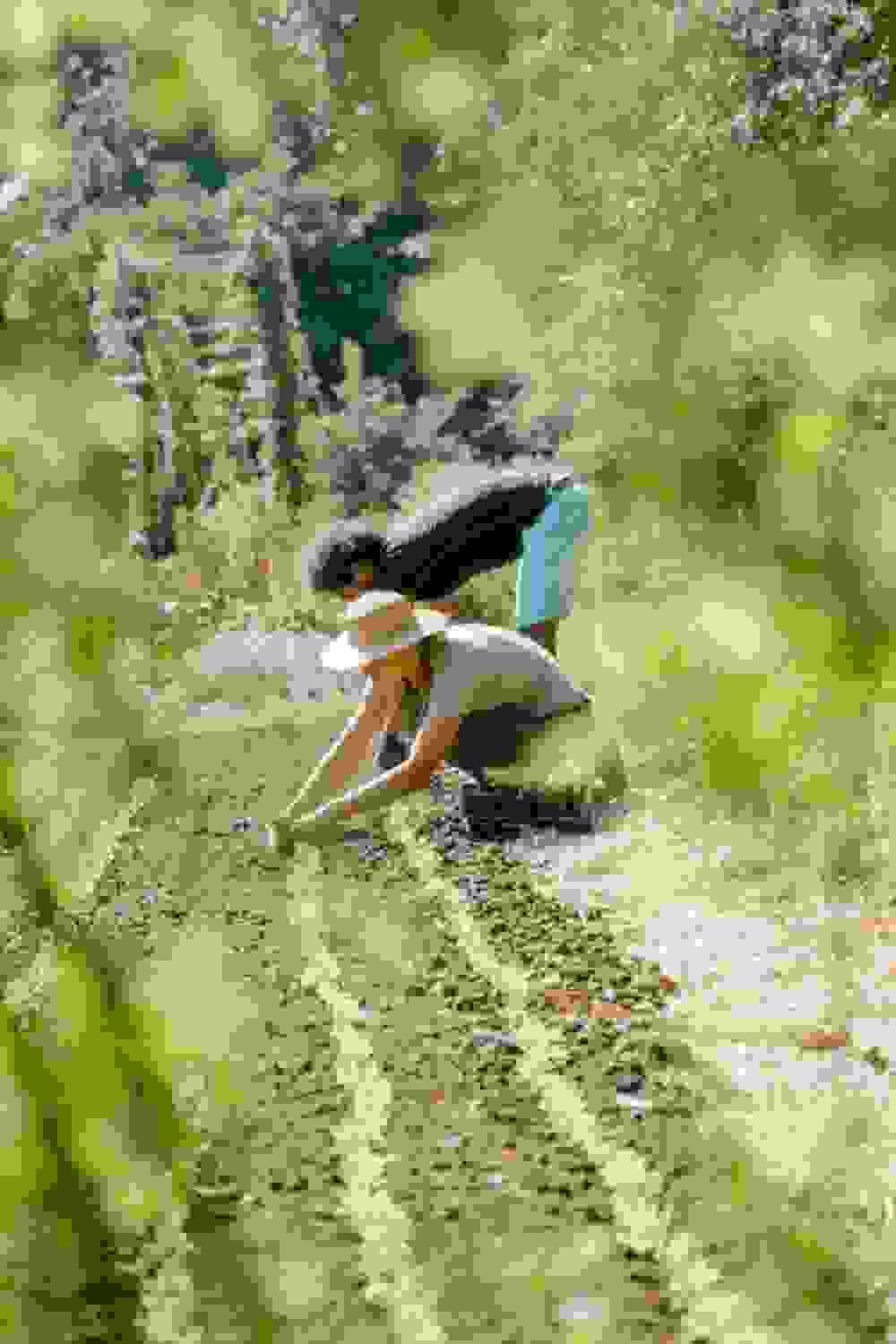 Section image