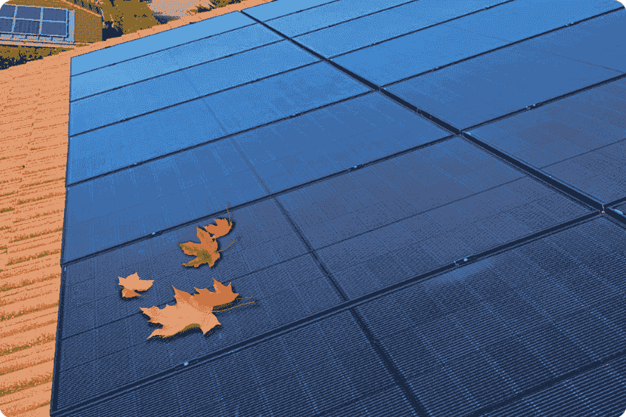 Im Herbst angesammelte Blätter auf der Oberfläche von PV-Modulen verringern die Stromerzeugungseffizienz