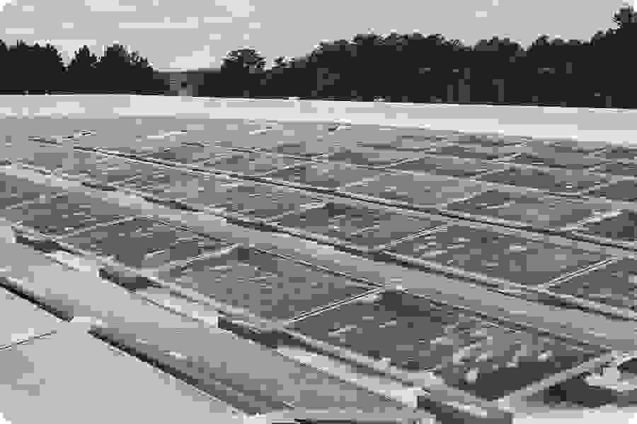 Bodenmontierte PV-Module mit Eis auf der Oberfläche, beschleunigte Alterung durch Frost-Tau-Zyklen infolge von Temperaturschwankungen