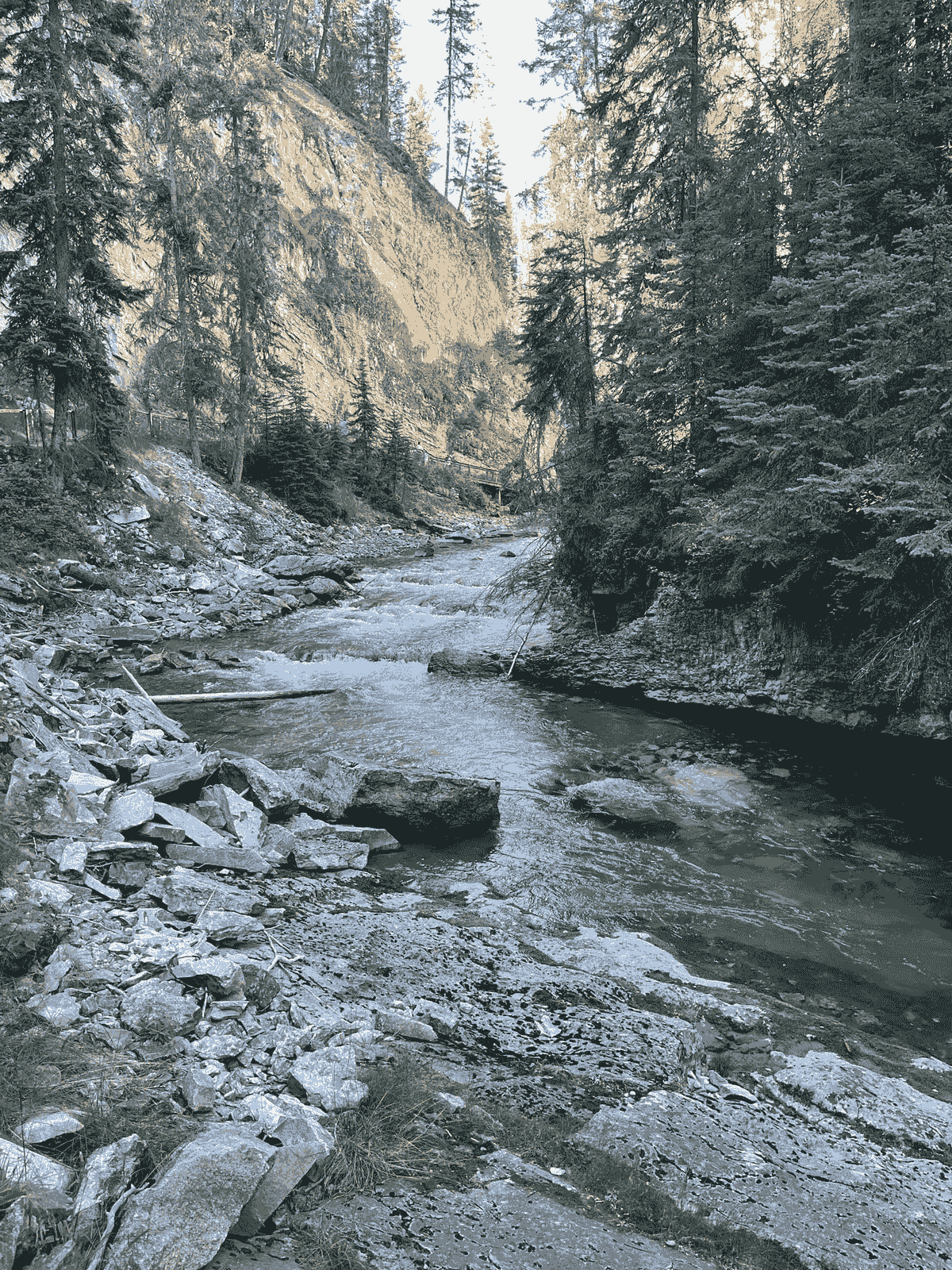 Section image
