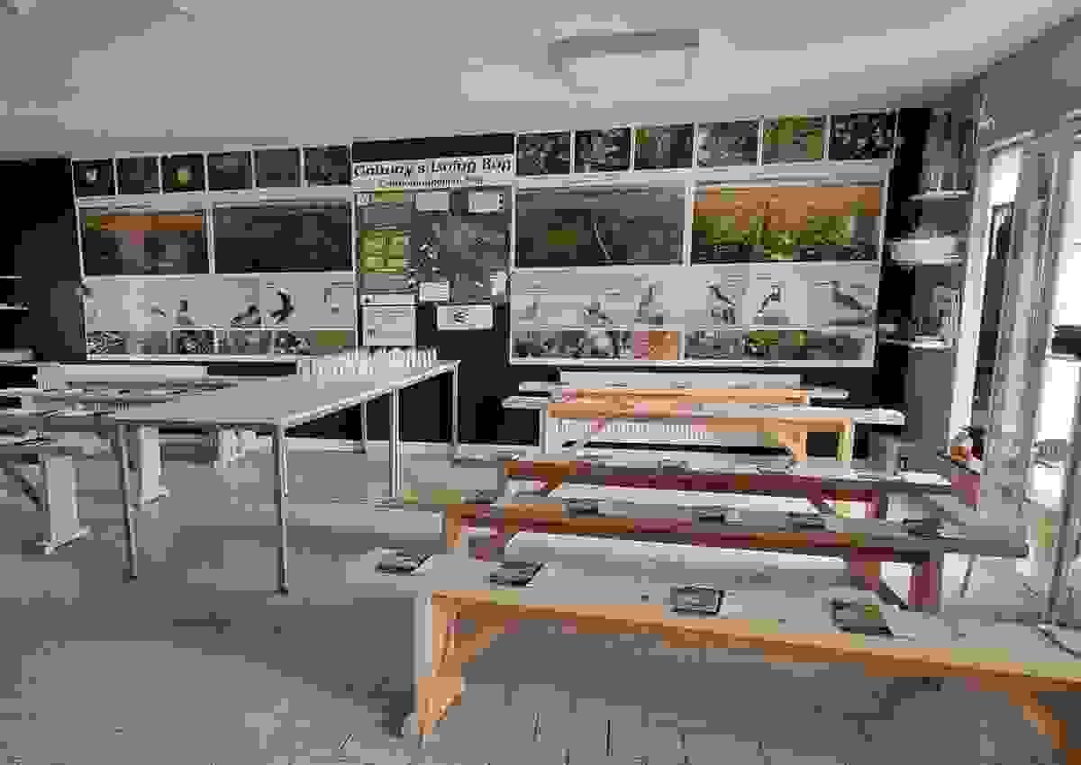 Section image